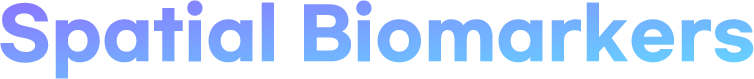 logo_auoto